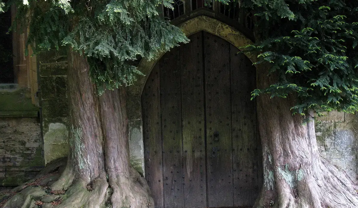 La porta nord della chiesa di St Edward a Stow-on-the-Wold, fra due antichi tassi